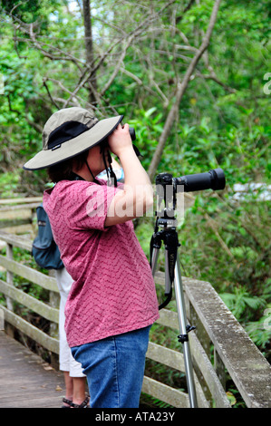 Corckscrew Swamp Sanctuary Naples, Florida Stockfoto