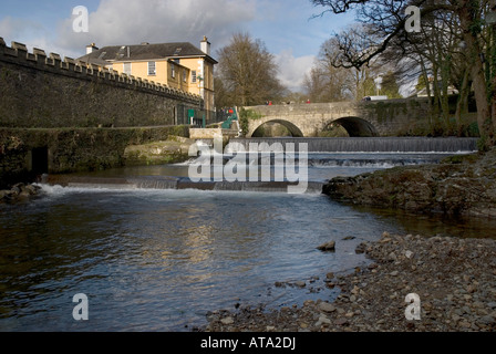 Fluß Tavy Abtei-Brücke Wehr Tavistock Devon England Stockfoto