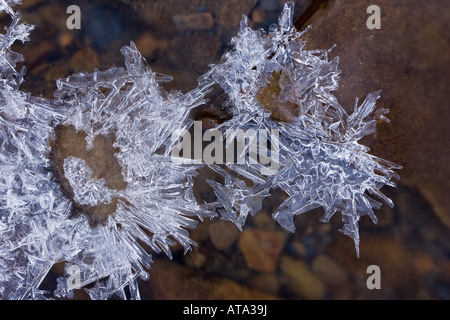 Eiskristalle auf Stream Derbyshire Peak District Stockfoto