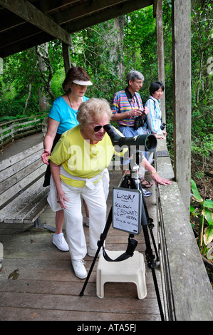 Corckscrew Swamp Sanctuary Naples, Florida Stockfoto