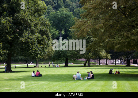 Leute sitzen im Schatten auf Rasen im Park Heidelberg Deutschland Stockfoto