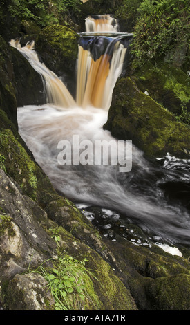 Der Zwilling Tüllen Pecca Wasserfälle auf dem Ingleton Wasserfälle Walk in Ingleton, Yorkshire Dales, UK Stockfoto