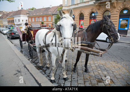 Eine Pferdekutsche namens Fiaker auf dem Burgberg in Budapest / Ungarn Stockfoto