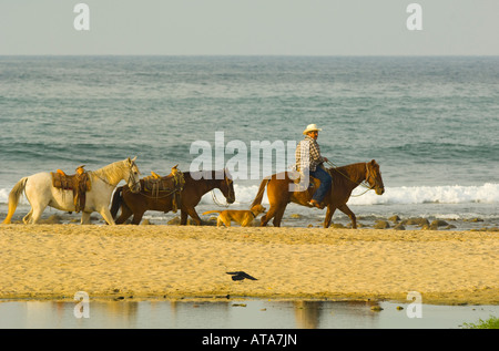 Mexiko Rivera Nayarit Dorf von Sayulita in der Nähe von Puerto Vallarta an der Pazifischen Ozean mexikanische Cowboy nachfolgende Pferde am Strand Stockfoto