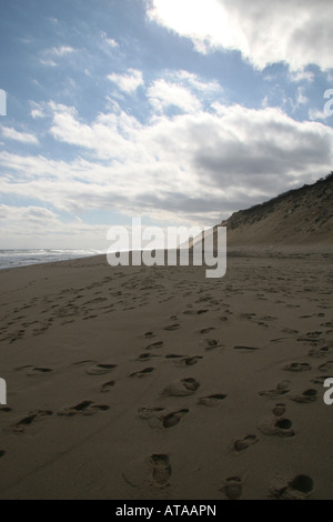 Dramatische Beleuchtung auf Cape Cod National Seashore in Wellfleet, Massachusetts. Stockfoto