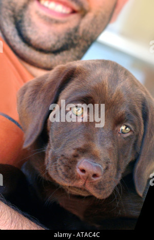 Mann mit Hündchen Stockfoto