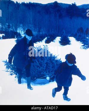 Mutter und Kind ziehen frisch geschnittenen Weihnachtsbaum durch Schnee Stockfoto