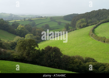 Devon, Südwestengland, Vereinigtes Königreich Stockfoto