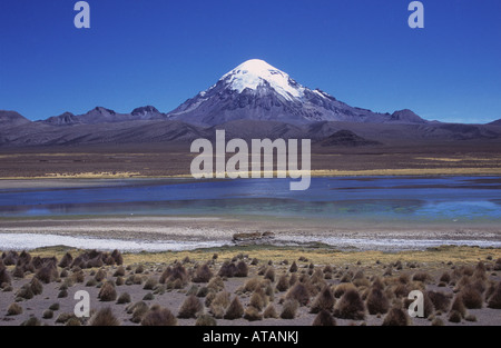 Ichu Grass (Jarava Ichu) am Ufer des Sees am Lagunas und Sajama Vulkan, Nationalpark Sajama, Bolivien Stockfoto