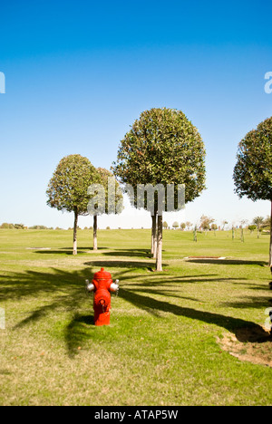 Hydrant auf eine makellose große Liegewiese. Stockfoto