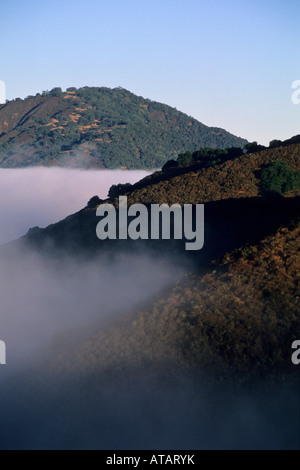 Küstennebel und Hügeln entlang Cachaqua Straße über Carmel Valley Monterey County in Kalifornien Stockfoto