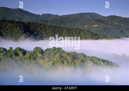 Küstennebel Eiche Bäume und Hügel Cachaqua Straße über Carmel Valley Monterey County in Kalifornien Stockfoto