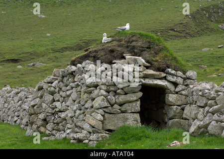 Nördlichen Eissturmvögel Fulmarus Cyclopoida nisten auf Stein Cleit auf der Insel Hirta Saint Kilda Schottland Juni 2005 Stockfoto