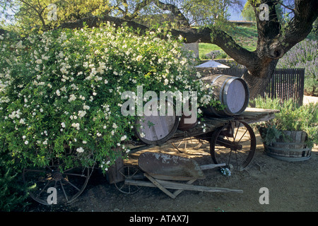 Sonnenstein Weingut Weinprobe Zimmer Refugio Straße Santa Ynez Tal Santa Barbara County in Kalifornien Stockfoto