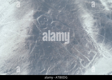 Die geheimnisvolle alte Nazca-Linien aus der Luft im Süden Perus gesehen Stockfoto