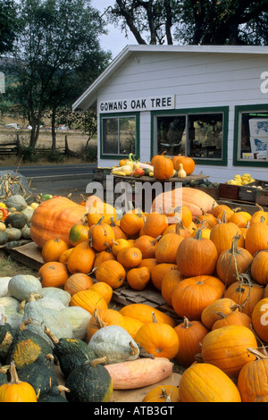 Gowans Eiche produzieren Stand in der Nähe von Philo Anderson Valley Mendocino County in Kalifornien Stockfoto