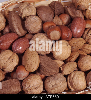 Nussmischung in einer Korb Haselnuss Walnuss Pecan Mandel und Brasilien Stockfoto