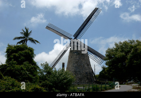 Morgan Lewis Mill St Andrew Barbados West Indies Stockfoto