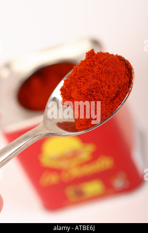 Pimentón ist rot geräucherter Paprika Gewürz kochen Zutaten aus Spanien verwendet, um Speisen zu würzen Stockfoto