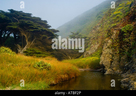 Unter Felsen und Hügeln Pfeiffer Beach Big Sur Küste Monterey County Kalifornien fließenden Strom Stockfoto