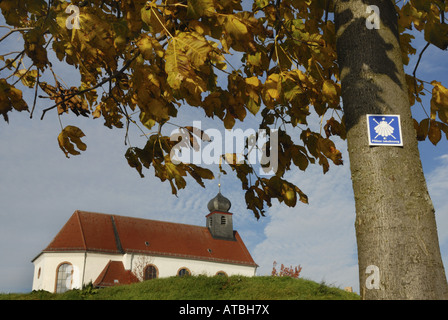 Buckeye, Rosskastanie (Aesculus spec.), Kirche in der Nähe von Gleiszellen-Gleishorbach, Jakobsweg, Deutschland, Rheinland-Pfalz Stockfoto