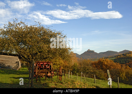 Trifels Burg im Pfälzer Wald, Deutschland, Rheinland-Pfalz, Pfälzerwald Stockfoto