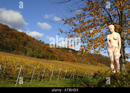 Rebe, Weinrebe (Vitis Vinifera), Paradiesgarten in der Nähe von Deidesheim an der deutschen Wein Route, Deutschland, Rheinland-Pfalz, Pala Stockfoto