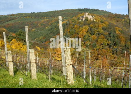 Schloss Landeck in der Nähe von Klingenmuenster mit Weingarten, Deutschland, Rheinland-Pfalz, Pfalz Stockfoto