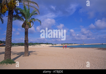 Dattelpalmen und Sandstrand San Vito tun Capo Sizilien Italien Stockfoto
