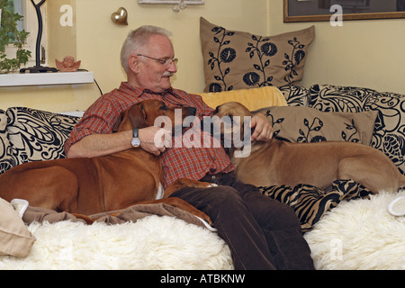 Rhodesian Ridgeback (Canis Lupus F. Familiaris), älterer Mann sitzt auf dem Sofa, streichelt seine beiden Hunde Stockfoto