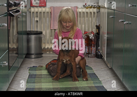 Rhodesian Ridgeback (Canis Lupus F. Familiaris), kleine Mädchen mit einem acht Wochen alten Welpen in der Küche Stockfoto