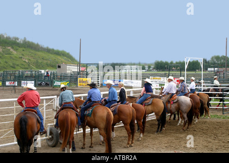 CATTLE PENNING; Zuschauern der Veranstaltung Stockfoto