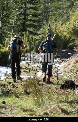 Wanderer die Rucksäcke und Ski, Wandern in der Wildnis, Rückansicht Stockfoto