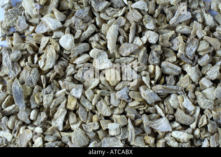 Ingwer, gemeinsame Ingwer, Ingwer, Kanton Ingwer (Zingiber Officinale), fragmentierte Wurzeln Kochen Stockfoto