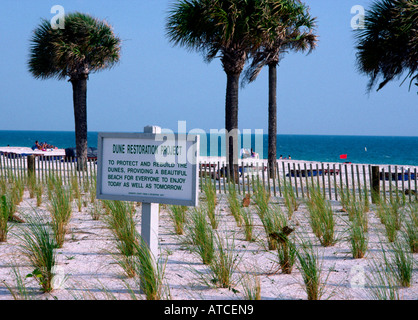 Düne Restaurierungsprojekt Lido Beach Sarasota Florida USA entlang Golf von Mexiko Stockfoto