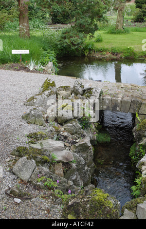 Wells Somerset St Andrews Well auf dem Gelände des Palais Bischöfe ist die Quelle der Federn in der kleinen Stadt der Brunnen Stockfoto