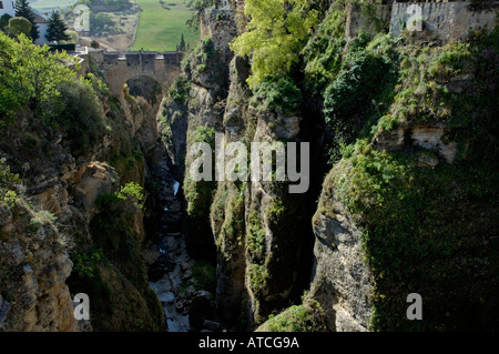 Im Jahre 1616 erbaut, erstreckt sich über Puente Viejo ("alte Brücke") El Tajo, die tiefe Kluft, die trägt den Guadalevin Fluss durch Ronda, Spanien Stockfoto