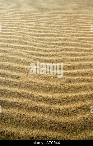 Eine Reihe von Sand Wellen an einem Strand in Mosambik aus in der Ferne verschwindet. Stockfoto