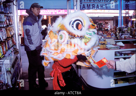 Ein Löwe tritt eine Einrichtung um einen roten Umschlag mit Geld von der Shop-Betreiber, jährliche Löwe Tänze, Chinatown, NYC gefüttert werden Stockfoto