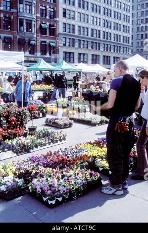Ein Kreditor hilft einer Frau, die Blumen auf dem Union Square grünen Markt, New York City, USA wählen. Stockfoto