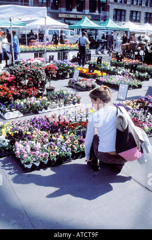 Eine Frau wählt Blumen an den Union Square Gemüsemarkt, New York City, USA. Stockfoto