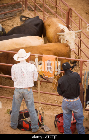 junge Fahrer vorbereiten für das Bull Riding Event All Indian Rodeo Gallup Inter Tribal Indian Ceremonial Gallup New Mexico Stockfoto