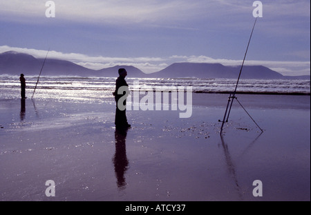 Angeln auf Inch Strand, Dingle Bay an der Westküste von Irland Stockfoto