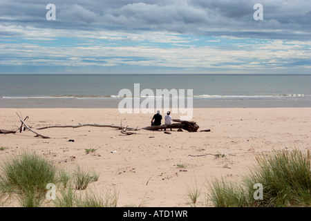 Ein paar entspannen und den Ausblick auf den gewaschenen, Baum am Strand von St Cyrus sitzen. Stockfoto