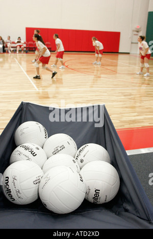 Indiana Chesterton, The Courts, Woman's, Woman's, Men's Volleyball, Sport, Athlet, Gymnasium, Teams, Balls, IN061006114 Stockfoto