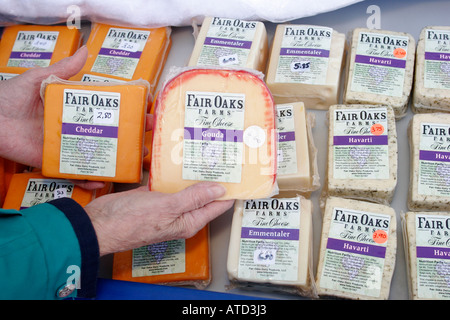 Indiana Lowell, Commercial Avenue, Autumn Arts Festival, Festivalmesse, Europäischer Markt, verpackter Käse, gouda, Cheddar, emmentaler, IN061007028 Stockfoto