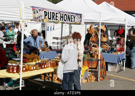 Indiana Chesterton, Europäischer Markt, Verkäufer Stände Stand Markt Markt Markt, Käufer, produzieren, Obst, Gemüse, Gemüse, Lebensmittel, IN061007142 Stockfoto