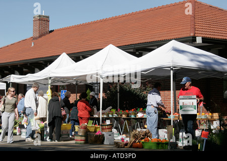 Indiana Chesterton, Europäischer Markt, Verkäufer Verkäufer, Stände Stand Händler Händler Markt Markt Markt, Käufer, produzieren, Obst, Gemüse, Gemüse Stockfoto