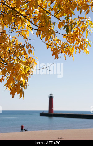 Wisconsin Kenosha County, Kenosha, Simmons Island Beach, Lake Michigan, gelbe Blätter, Herbst, Herbstfarben, Blattwechsel, Herbst, Jahreszeit, Bäume, Wetter, Pierhea Stockfoto