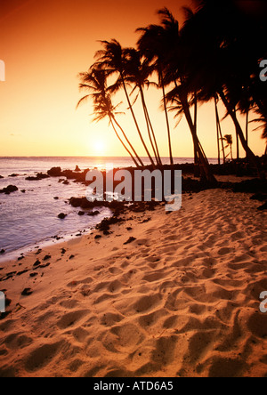 Ein Wäldchen Palm Silhouette bei Sonnenuntergang am Mahai'ula Strand Kona Coast auf der Big Island von Hawaii Stockfoto